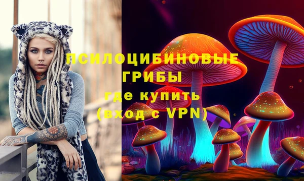 прущий лед Михайловск